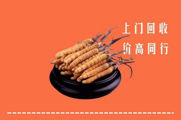 高价求购：黔西南州贞丰县回收散虫草