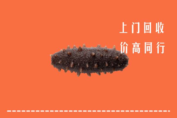 高价求购：黔西南州贞丰县回收海参